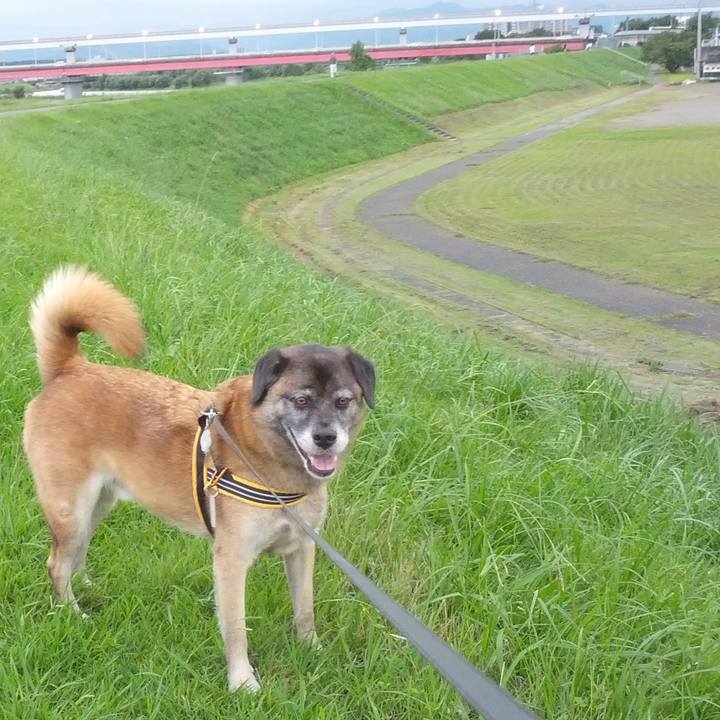 D19e9b76 75f8 493d 937d 6327f0b6f128 1682904124473