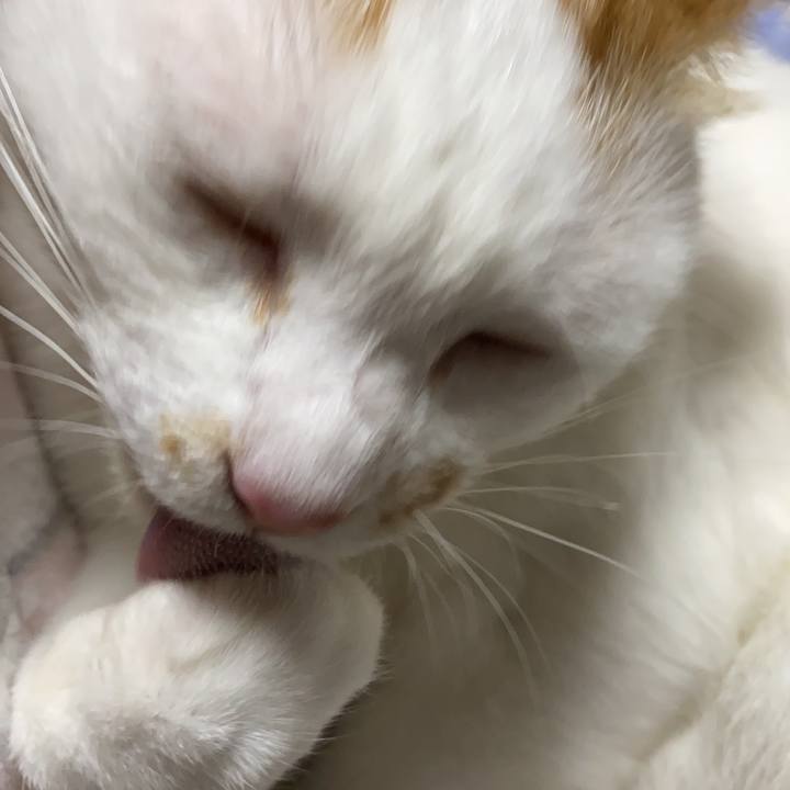 D19eaf6d 8c77 437a a060 742f6de28ffb 1590232469715