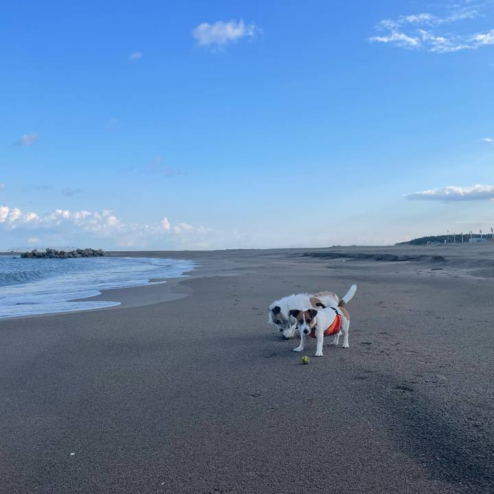 D19eb7c7 e61c 4419 b30b 061f52be5dbd 1667866085187