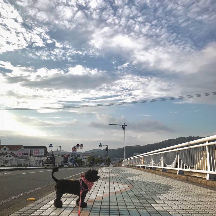 D19ec0e7 d8c5 4f86 83a4 65ee3a2eba62 1566735824399