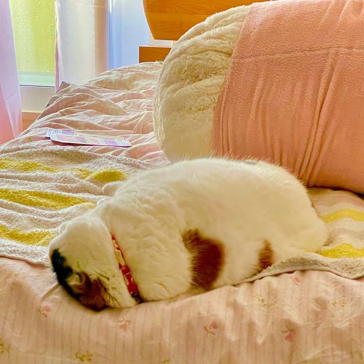 D19ef1a5 0e90 4259 a38c 80a1c17ab1b4 1641025769700