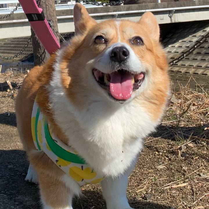 D19ef7ef 35e5 4483 a178 a77556cc9913 1706756862565