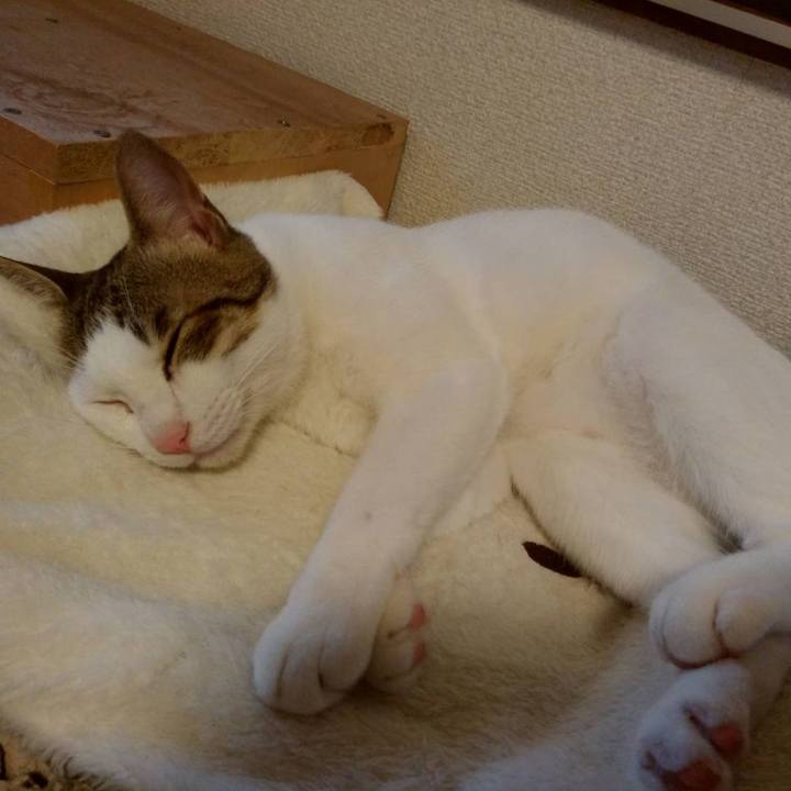 D19efff3 2684 4e96 be39 4eb234c94bdd 1660738615761