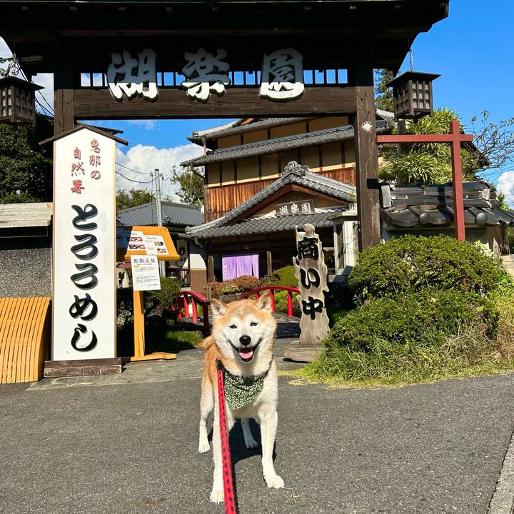 D19f5132 282f 40be a764 21378fef5de1 1731055799182