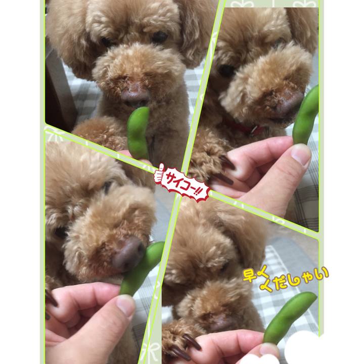 D19f64cb fbed 45b4 a052 6d658183fc74 1526904281952