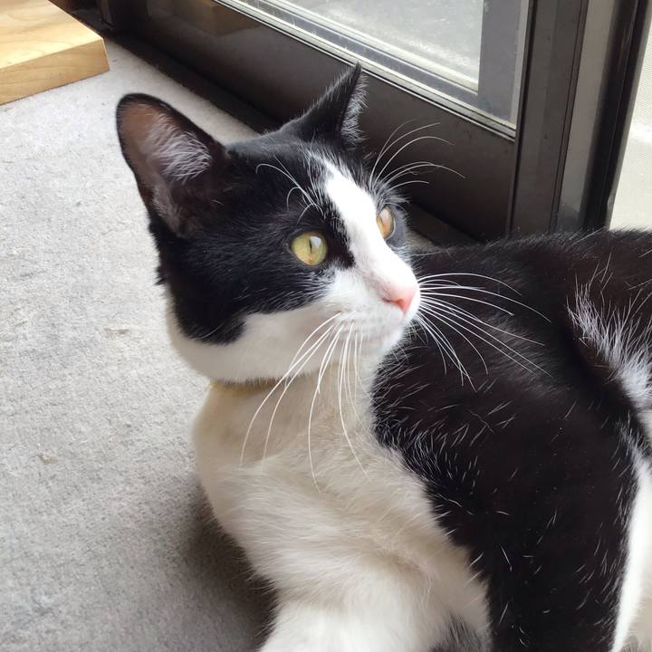 D19f9b3c f0f0 48e9 9caf 4db46c9e9d81 1652575917259