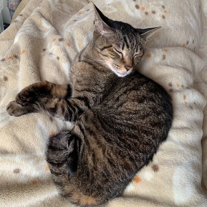 D19fd72e 04dc 4591 8ce4 ccc419b1ec8c 1585446129286