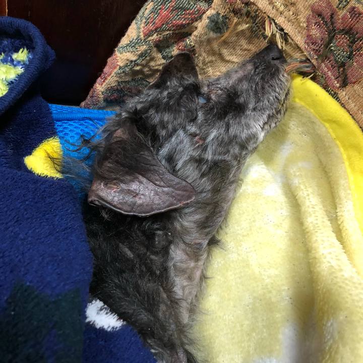 D1a01d50 b2df 4a75 89c4 be542de48dbf 1605052901273