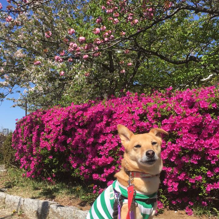 D1a03b6d c2fd 499f 9243 ede4ade01901 1555382572312