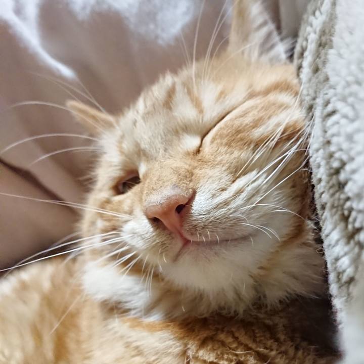 D1a0529d 2b3b 4a08 a01c ef5b16d07f58 1639487238503