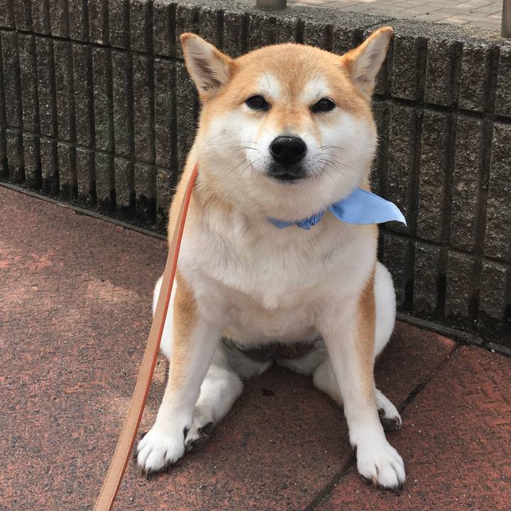 D1a0aec3 dcdf 4a03 94d4 50ece326692f 1562117708755