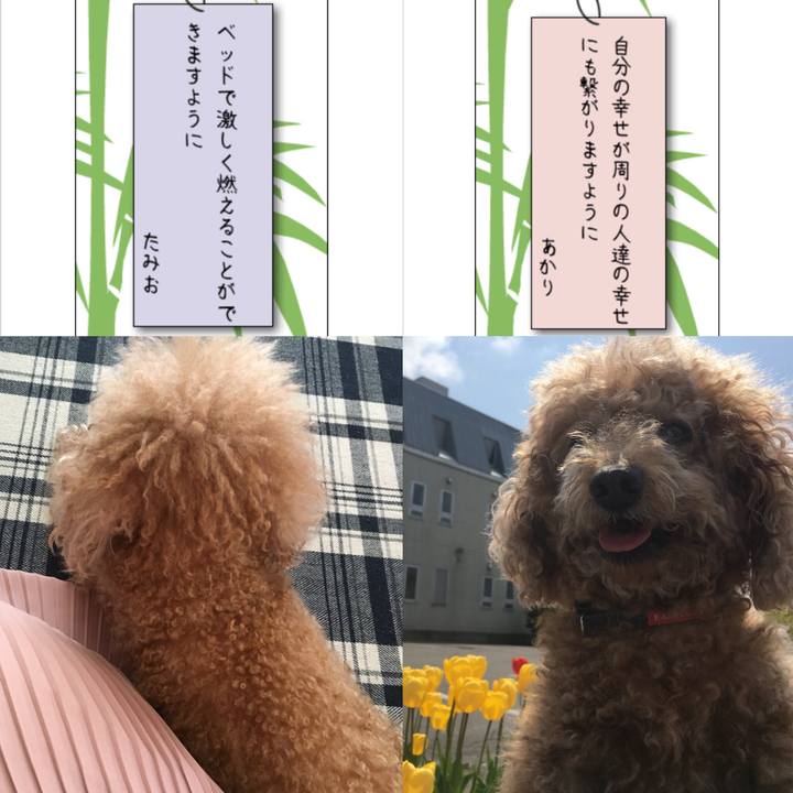 D1a0f418 7556 4c29 bc14 2ddc4e115ca2 1533992689502