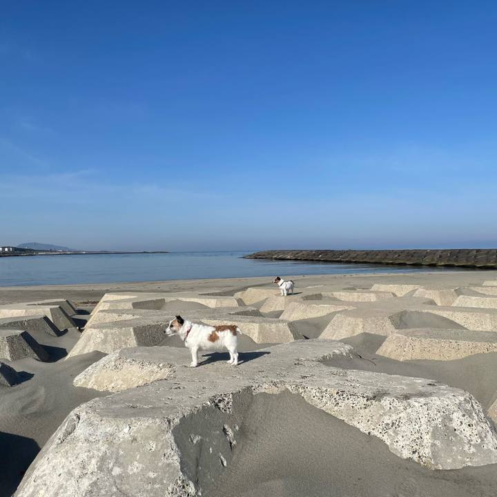 D1a14091 1897 480c 878f ba689b1bf7fc 1745279603448