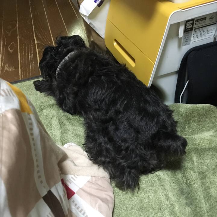 D1a1a72c 9a16 47d3 8db3 8326e4bc2398 1509496893928