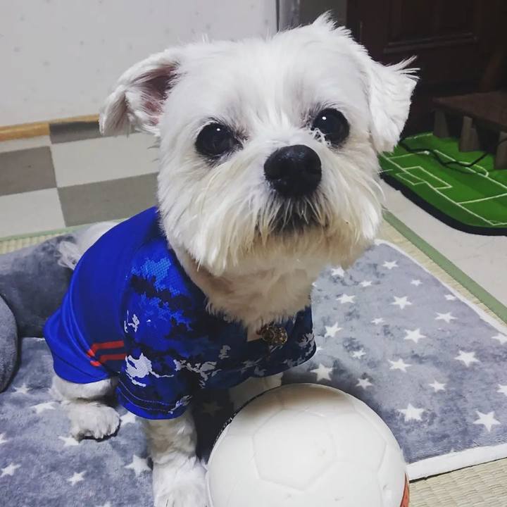 D1a2090e 48af 4097 9140 45711f7c417f 1670226103894