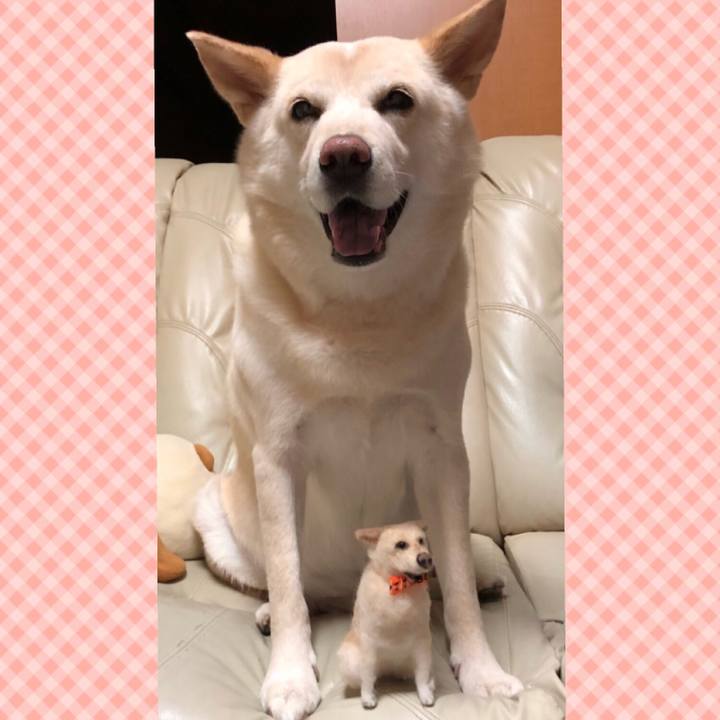 D1a23f51 84d2 4f73 b587 91e9628b3615 1537573719449