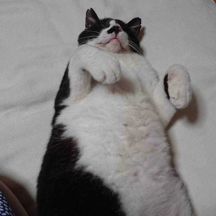 D1a263ff d176 4c6c 9ffa 5174bee44e2a 1595810071549