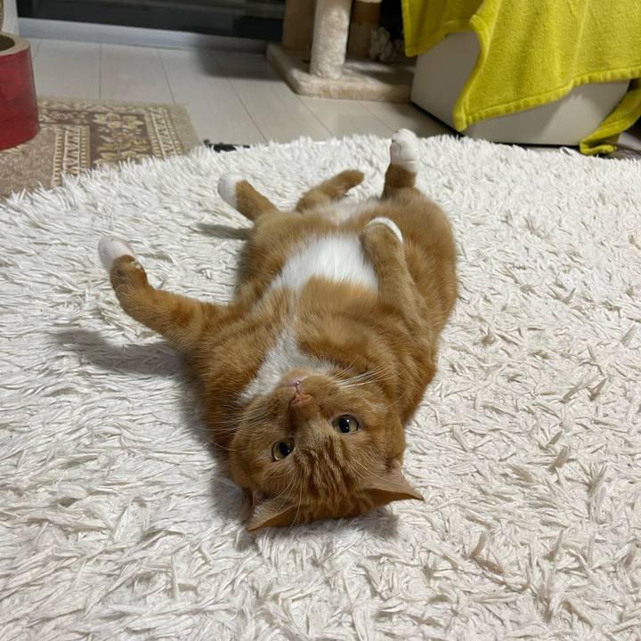 D1a26c9c 0826 42e3 8372 dd3a8bcf5dab 1665057328972