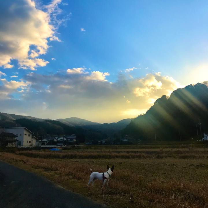 D1a26f65 0d3f 420d add2 8057a4e1f965 1514805200963