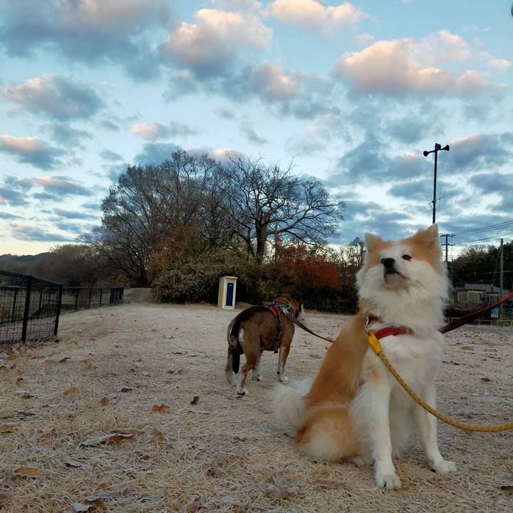 D1a2b81f 13c9 40eb 8570 a6e4cf2688e1 1639483551426