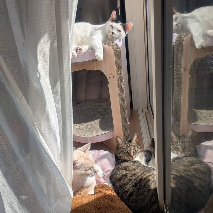 D1a2bce5 20ad 44ec b8d7 6101854e41f2 1761179616744