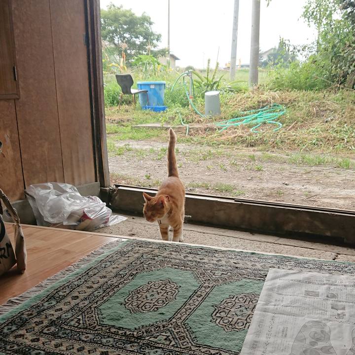 D1a2d49f 0ffc 4277 a73f 5c6a5d7caf24 1598398512052