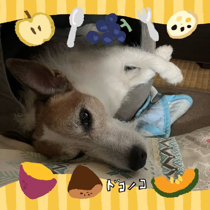 D1a32824 ad18 419e 964b 9040997ecb37 1727392285445