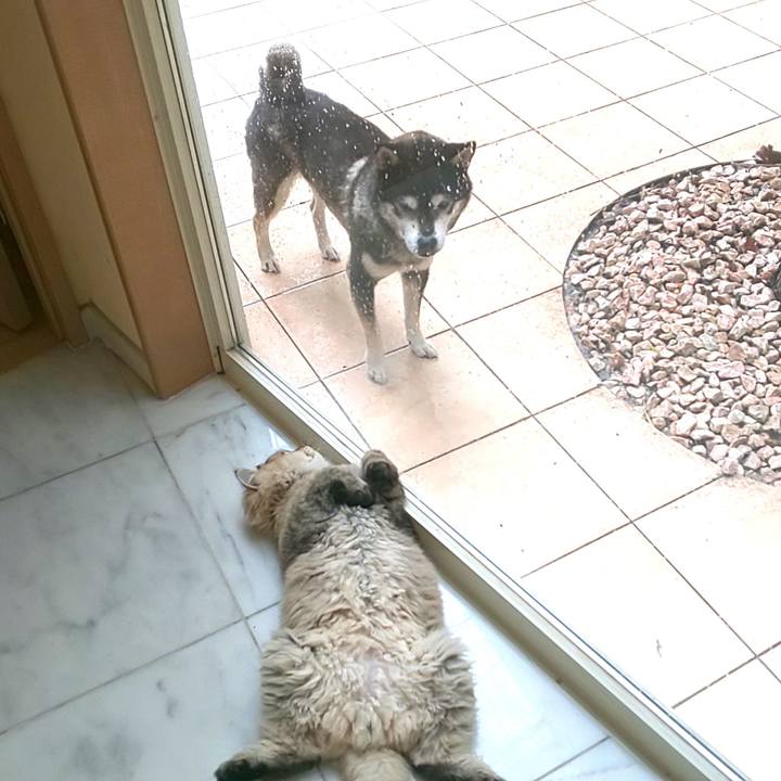 D1a3799a 2025 49dc 8ae5 713750dbbbaa 1570144126822