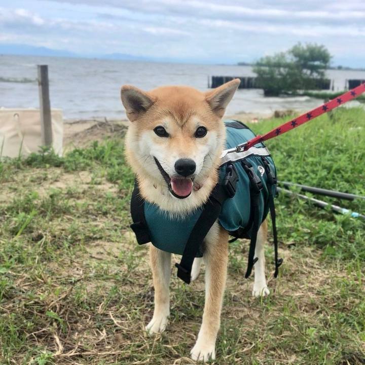 D1a37ab4 87d5 4d97 bffc eb2af2f80887 1686186448732