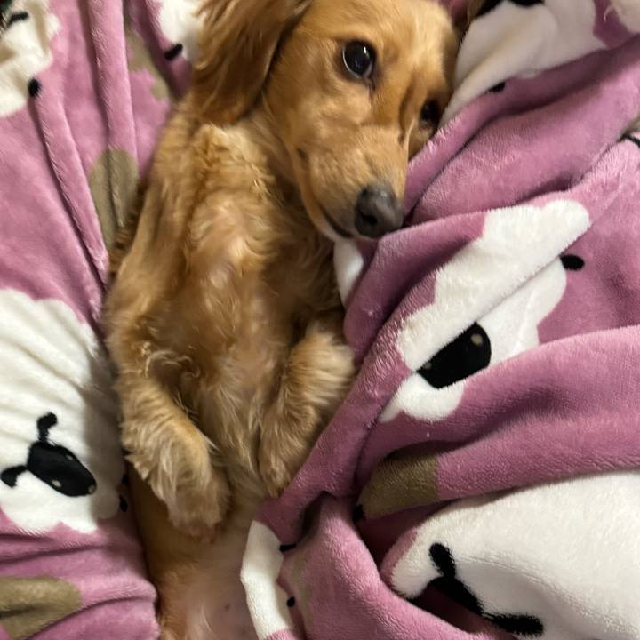 D1a3cf57 89bb 40a3 8fe6 24ec9acae9e0 1709881789593