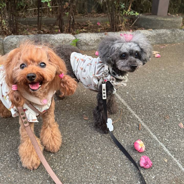 D1a3cf7d c5ad 4f26 b101 a3573ffdcdcb 1757891870628