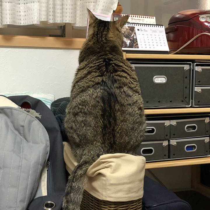 D1a3d8c2 34ab 4427 ab2e 0106e283cb65 1515992183369