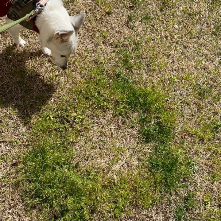 D1a3eddf effe 4fa0 9b86 783e868fc7ae 1775086168735