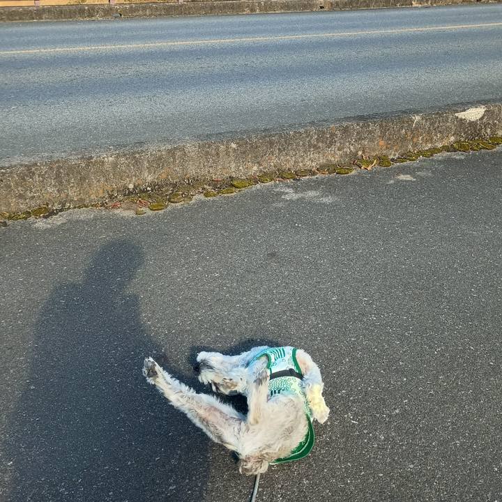 D1a418c3 915b 444f 9731 4b75aaf2a621 1765028053831