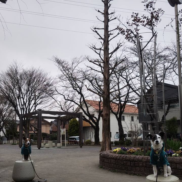 D1a4262d 6286 40b8 a258 3dff255d9e9e 1774218542077