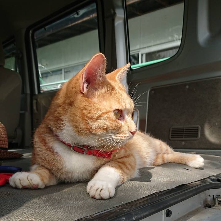 D1a43431 344d 4d90 8569 72121358d841 1570239651141