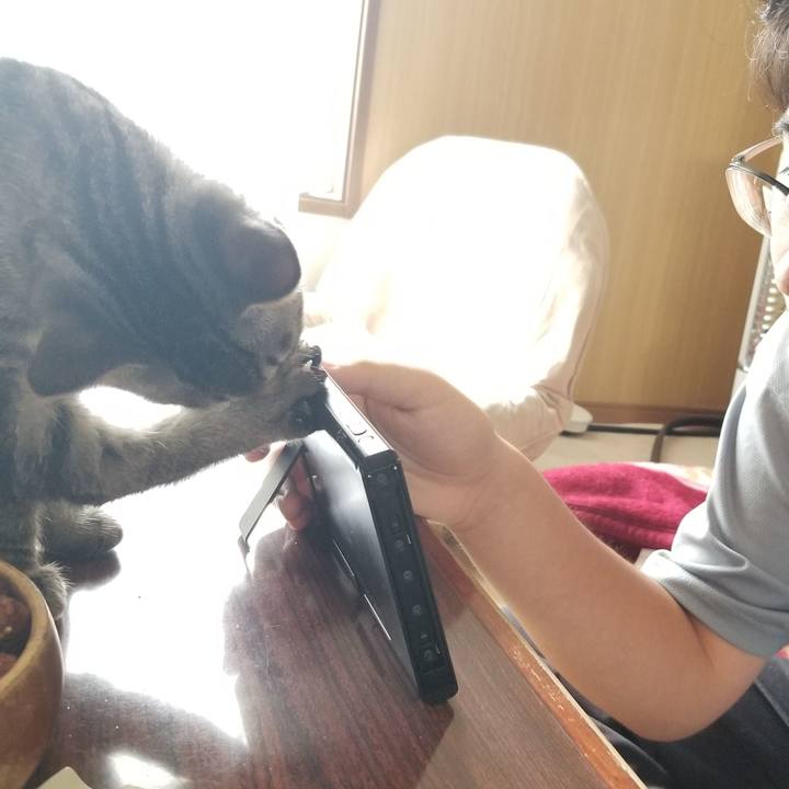 D1a45b2a e32d 4ea4 b301 eb8edbef66a8 1667624655510