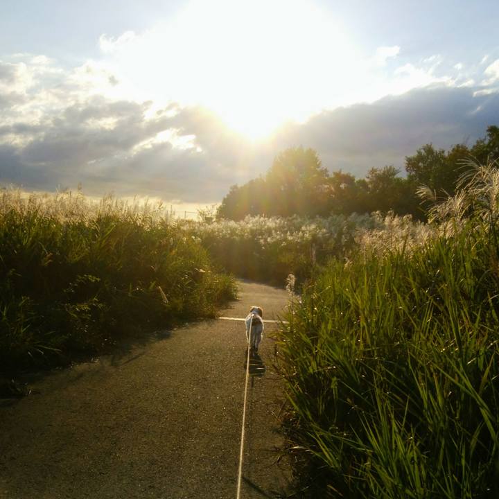 D1a470dd 1f48 43a0 bd07 0fdc393723f5 1539430419226