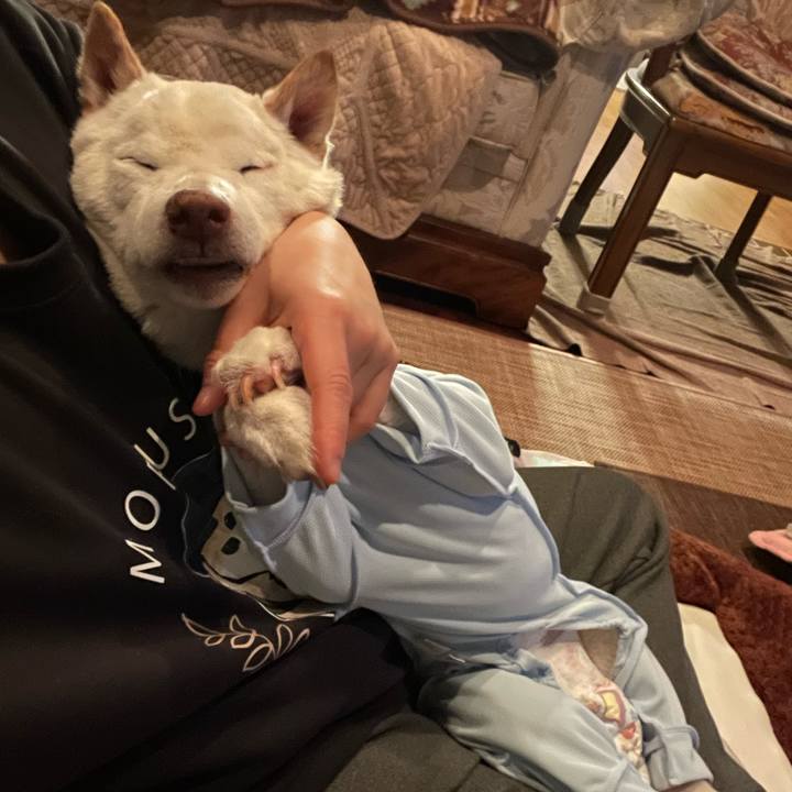 D1a470ef 6a41 49f4 8885 8bdb52d6ac1b 1674568385801