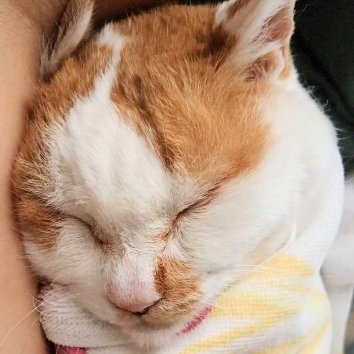 D1a47693 bea0 4b70 8602 c6d2db3c6406 1760180538485