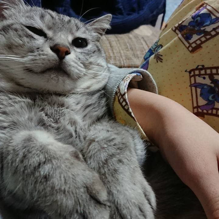 D1a4a3c8 8bcb 4445 9f2f 5236d227ee54 1520076093861