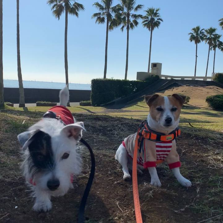 D1a4c018 0967 487a 9850 004cd30952df 1639186099760