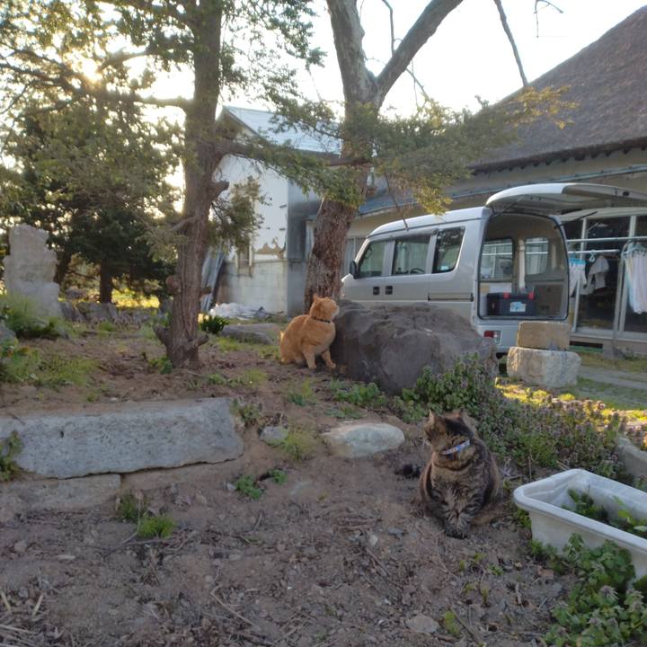 D1a4e40a c071 4dab 82d4 921a11a4b824 1682242541223