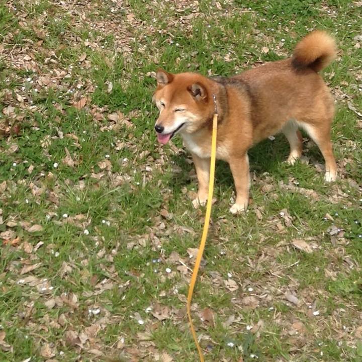 D1a551fb ef4e 4813 9659 e0f5f3df34d1 1521094822291