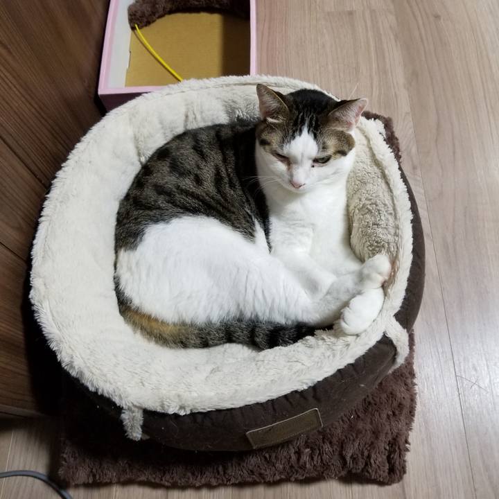 D1a5809d c1f8 4700 9ba5 c319b78dc087 1606430436051