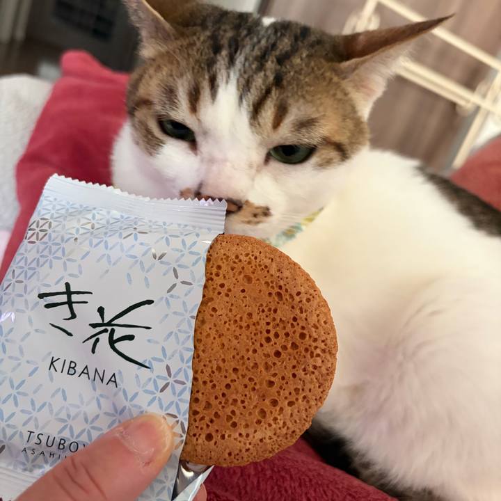 D1a59ecf 1b1d 46e6 8c27 b05077bf536d 1773453889887