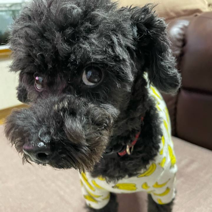 D1a5a552 b5b0 48dc 902e fcdeac5e5809 1669534119749