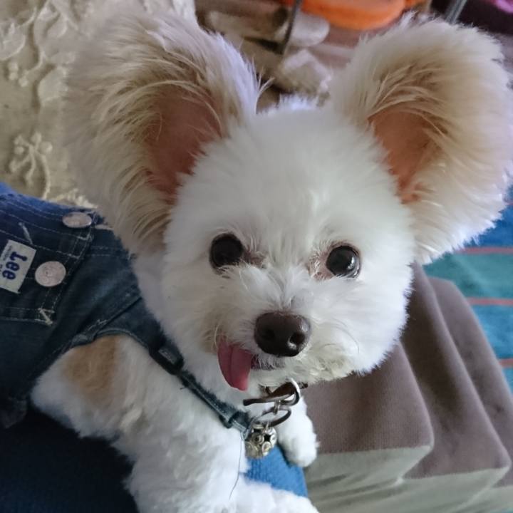 D1a5cda2 6d2a 487d b783 1579aecbc903 1571962020778