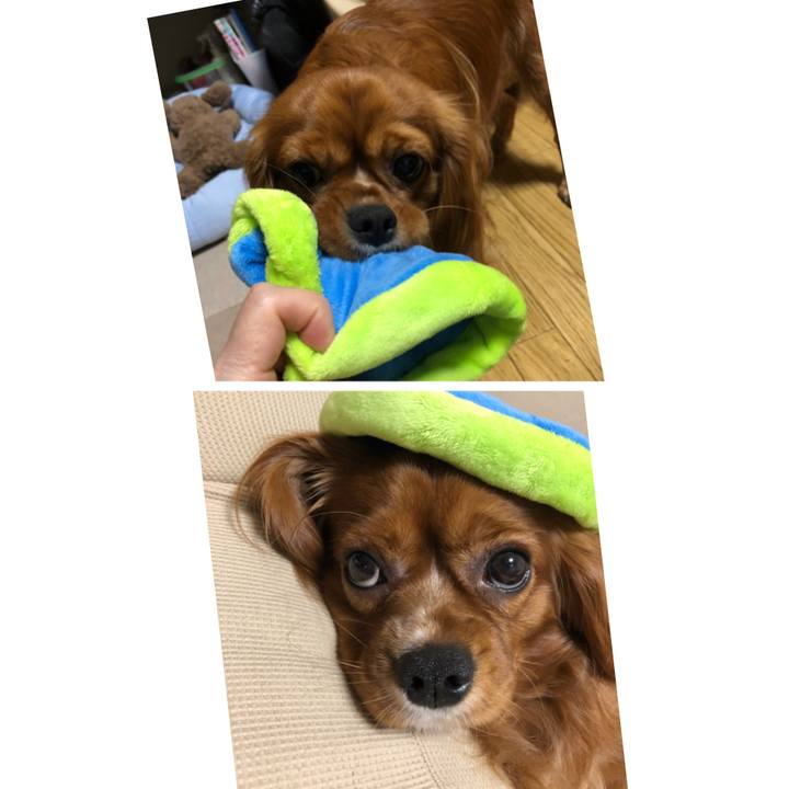 D1a5d316 72be 4039 a0cf f473e0ee4f78 1530138095369