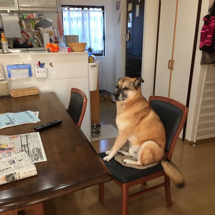 D1a5dcd1 d150 47fc 91f2 6db451b95c6c 1510826031377